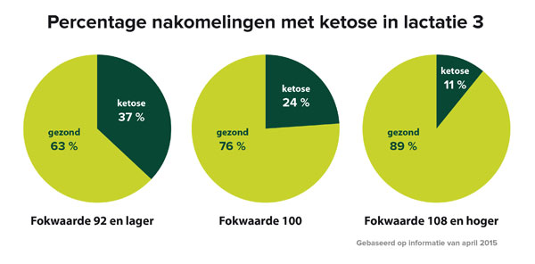 Ketose-taartdiagram600