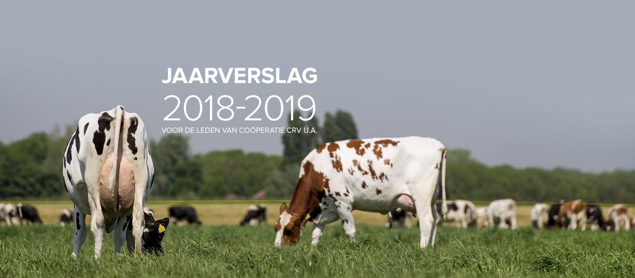 jaarverslag 2018-2019