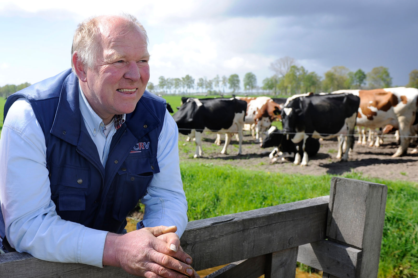 Melkveehouder Jos Knoef uit Geesteren