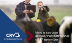 Fosfaatplanner